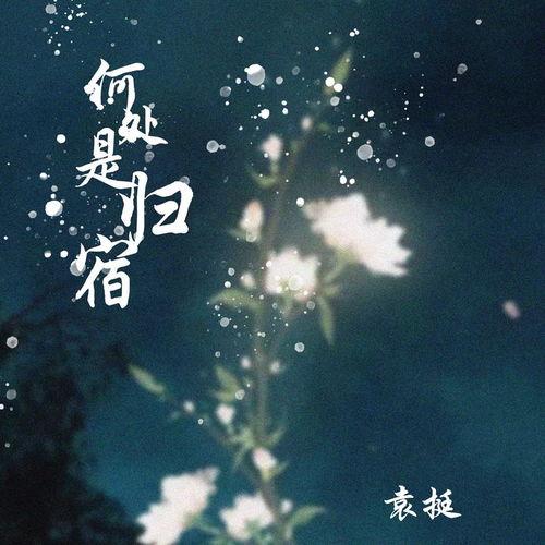 何处是归宿,探寻人生意义的旅程