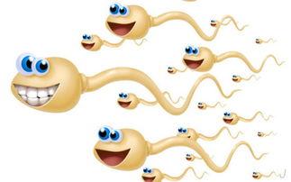 精子总动员,揭秘生命起源的奇妙旅程