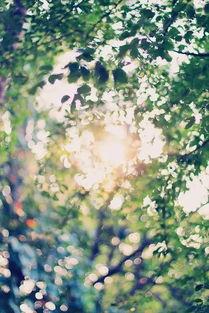 冰蓝遇见暖黄,色彩交融下的视觉盛宴