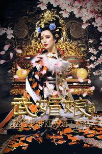 武媚娘传奇DVD版,宫廷权谋与女性觉醒的传奇史诗